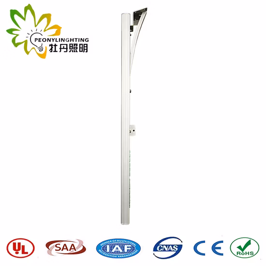 IP65耐候性ガーデンフロアランプ、ソーラーライト